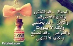 13784881443182.webp