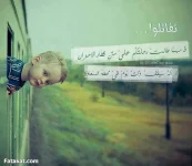 13784941174720.webp