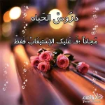 145366855086.webp