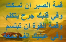 372828_dreambox-sat.com.webp