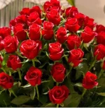 IMG_20211002_194121_901.webp