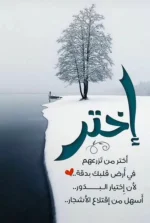 ٢٠٢١١١١١_١٤١٠٢٥.webp