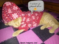 PicsArt_11-21-02.43.25.webp