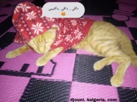 PicsArt_11-21-02.46.45.webp