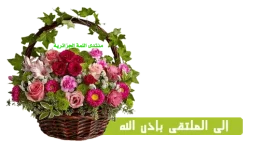 1641677253338.png 1641677253338.png
