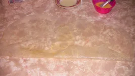 IMG_3227.webp