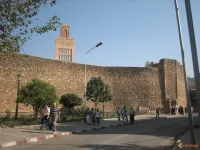 387443_102729453180138_100003292501142_9820_1821276505_n (1).webp