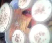 Image 023.webp