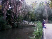 Photos-0100.webp