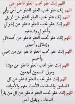 Screenshot_1.webp
