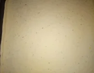 Screenshot_2022-04-08-15-58-59.png