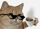 png-clipart-internet-meme-cat-internet-forum-game-meme-game-cat-like-mammal.png