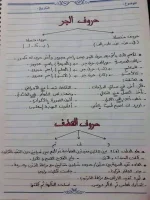1650531793263.webp