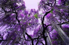 1657055223111.webp