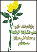 1657619861211.webp