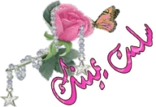 1657788859727.webp