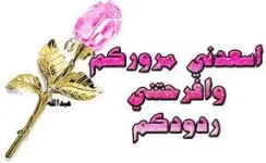 1657701018796.webp