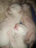 IMG_20220519_224253.webp