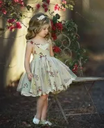 images (12).jpeg images (12).jpeg