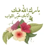 1664192403258.webp