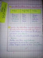 IMG_20220927_225144.webp