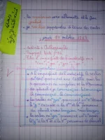 IMG_20220927_225349.webp