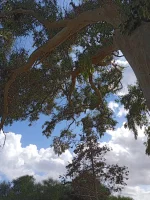 IMG_20220927_134023.webp