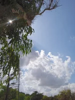IMG_20220927_134054_1.webp