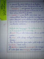 IMG_20220927_225505.webp