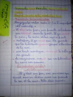 IMG_20220927_225529.webp