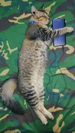 FB_IMG_1663867820654.webp FB_IMG_1663867820654.webp