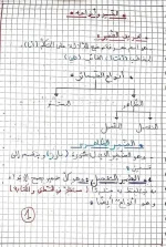 FB_IMG_1664623653799.webp FB_IMG_1664623653799.webp