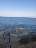 IMG_20220809_170431_1.jpg