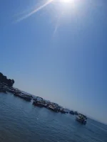 IMG_20220809_094845_1.jpg