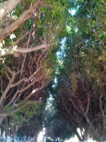 IMG_20220809_173654.jpg