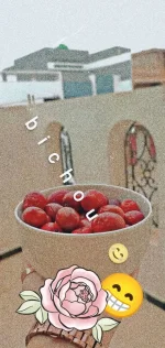 1664896601895.webp