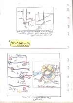 CamScanner 10-13-2022 14.54_2.webp