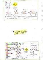CamScanner 10-13-2022 15.53_3(2).webp