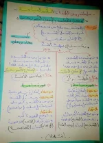 FB_IMG_1666106769802.webp