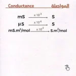 FB_IMG_1666472408749.webp