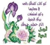 1666856068433.webp