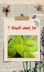 Picsart_22-10-27_15-35-44-487.webp Picsart_22-10-27_15-35-44-487.webp