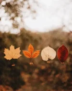 _ - 2022-10-31T144829.891.webp