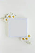 95cc06ed581ae93d7579be25a6290c45.webp