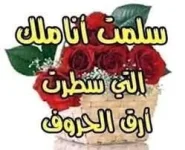 1667810037063.webp