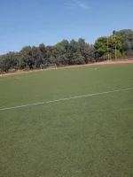 IMG_20221010_123910_1.webp