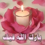 1668420772579.webp