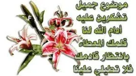 1668421065850.webp