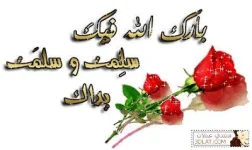 1668940721660.webp