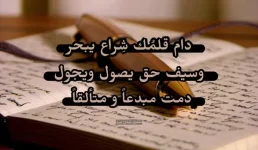 1670140528515.webp